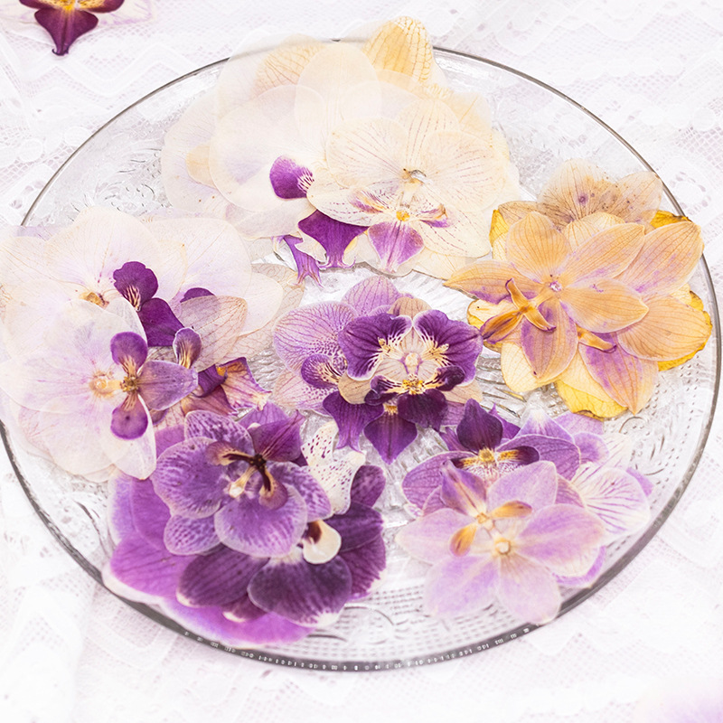 4 Buah Kepala Bunga Anggrek Ph - Dried Flower Bookmark ulasan dan harga